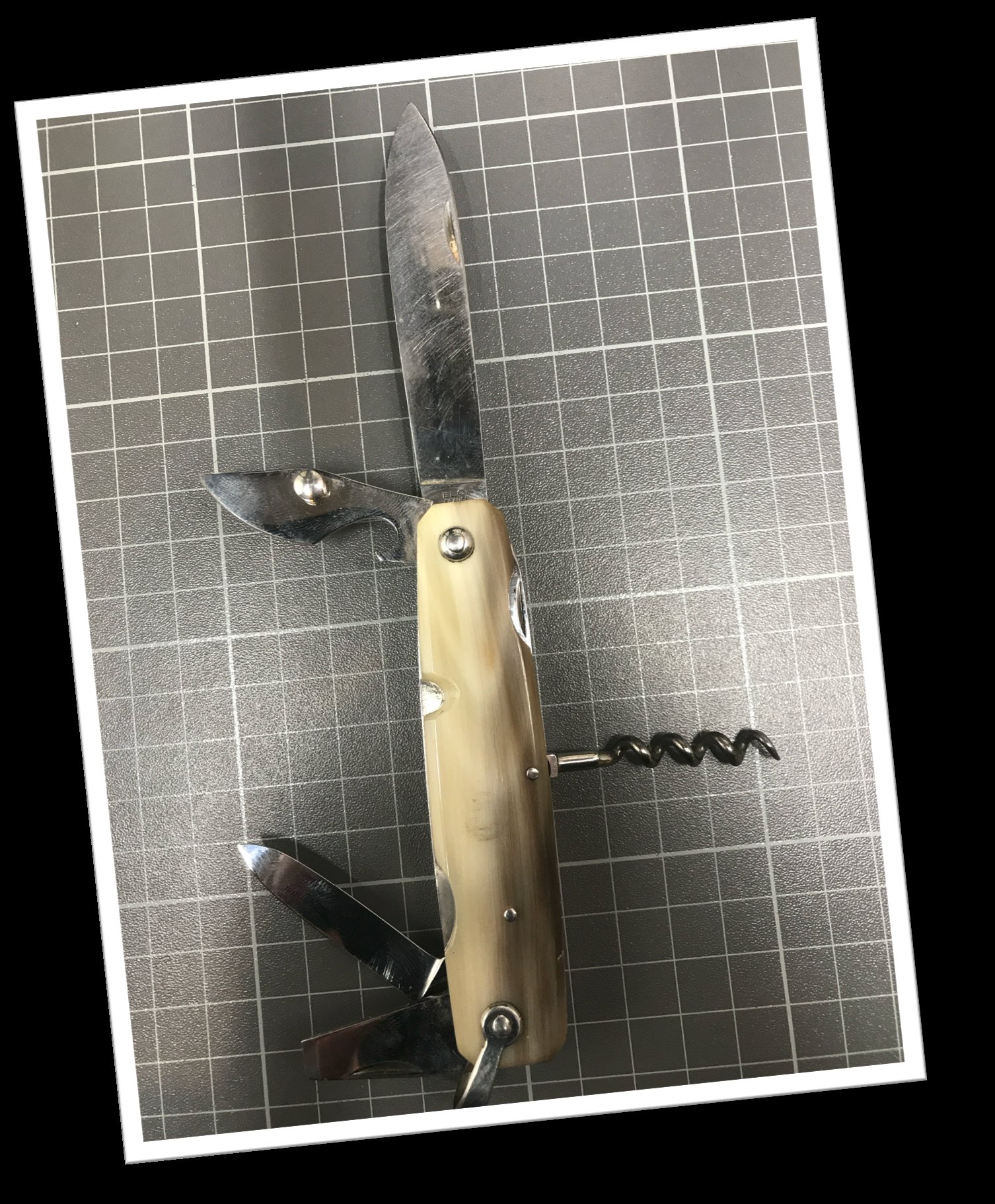 ELOI 1960 CORNE BLONDE