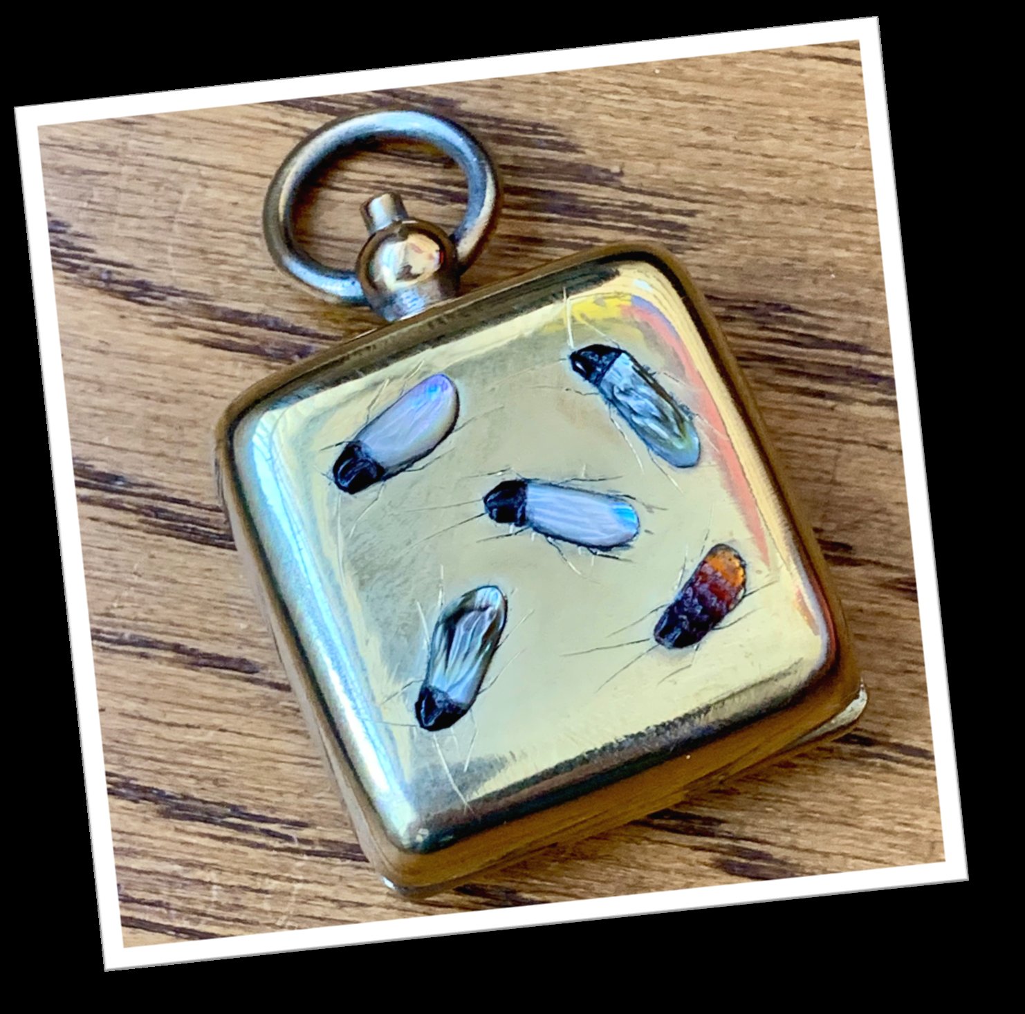 N.I 1910 SOVEREIGN CASE SHIBAYAMA CARRÉ