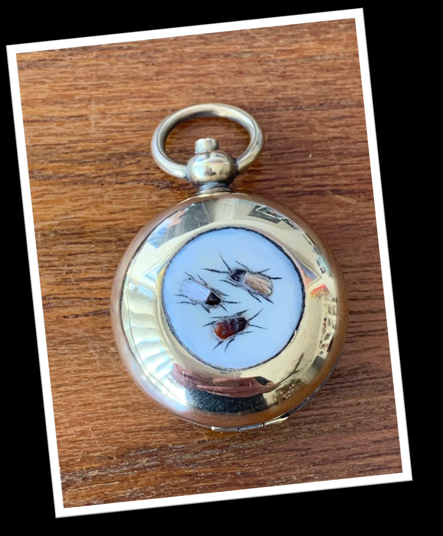 N.I 1910 SOVEREIGN SHIBAYAMA
