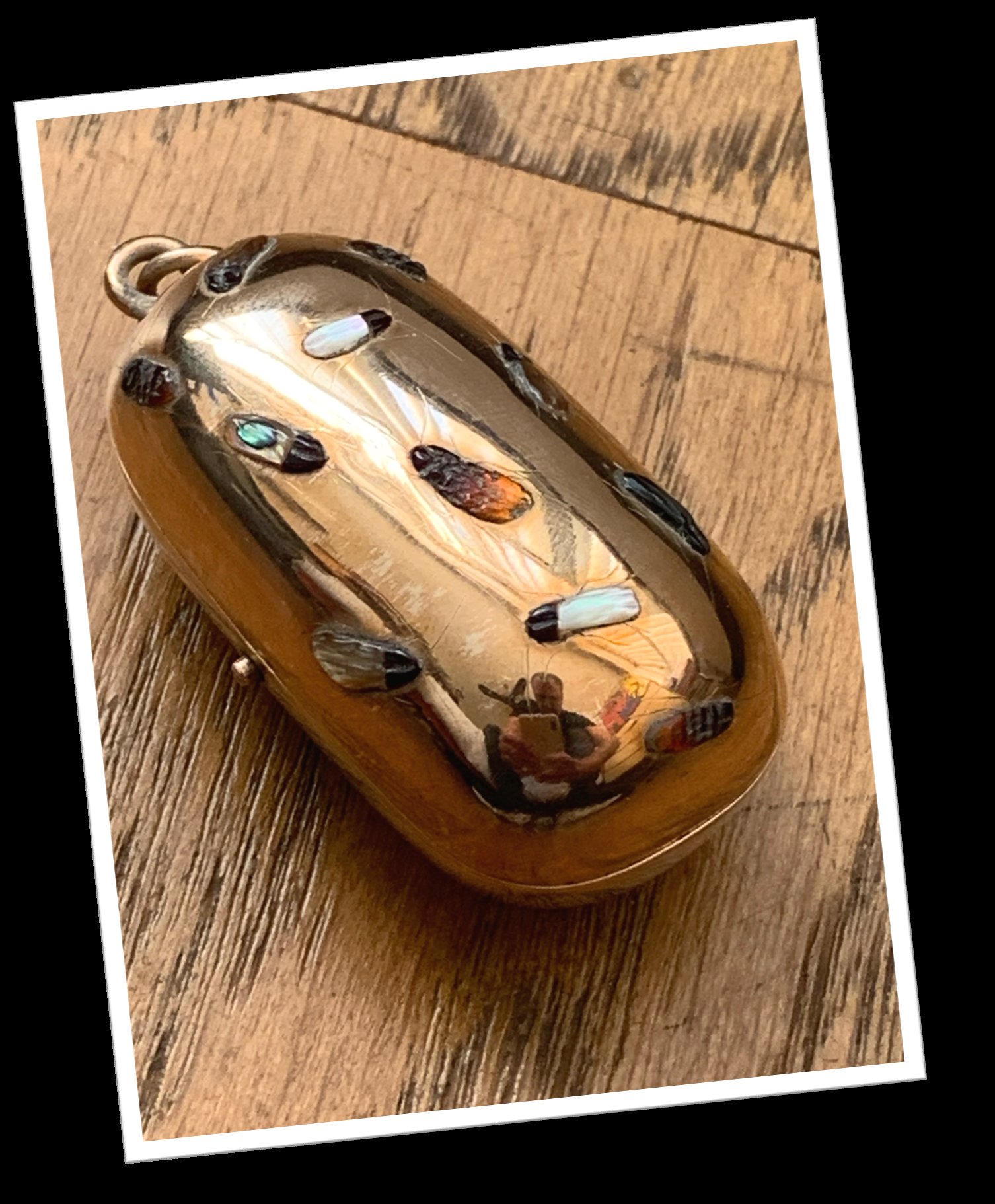 N.I 1900 SOVEREIGN CASE SHIBAYAMA