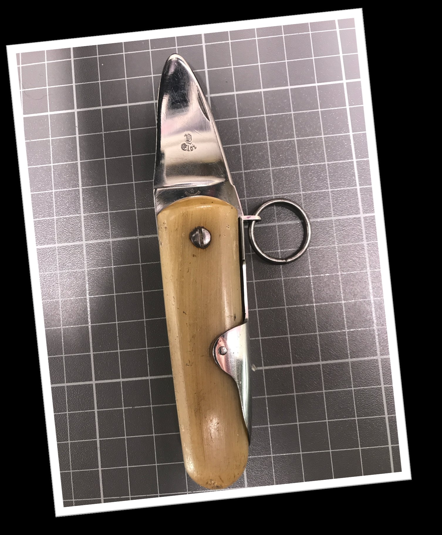 ELOI 1970 CORNE BLONDE
