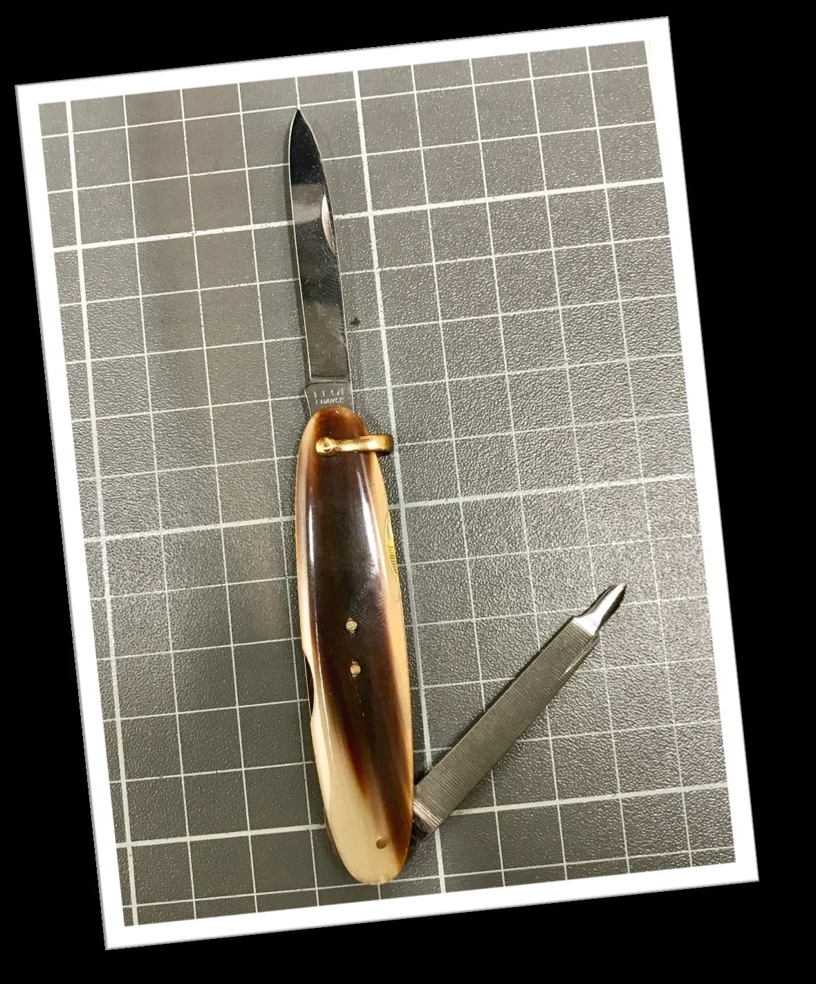 ELOI 1960 CORNE BLONDE