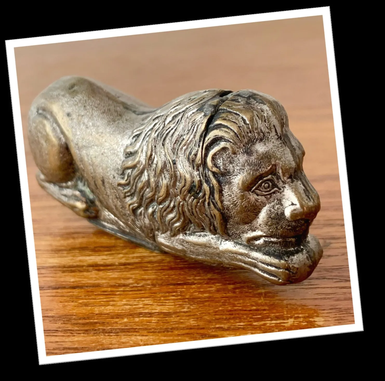 N.I 1890 LION INSTITUTIONNEL