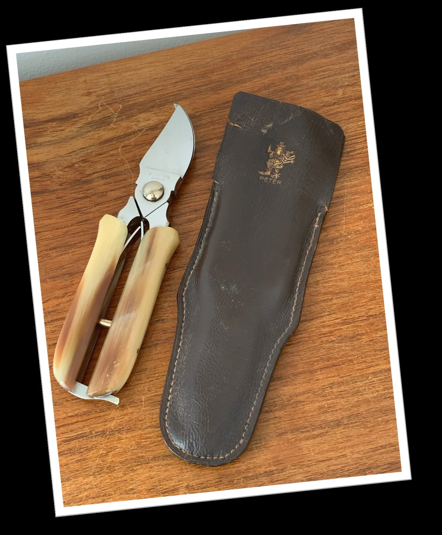 PETER N.I 1950 SÉCATEUR DAMES CORNE BLONDE