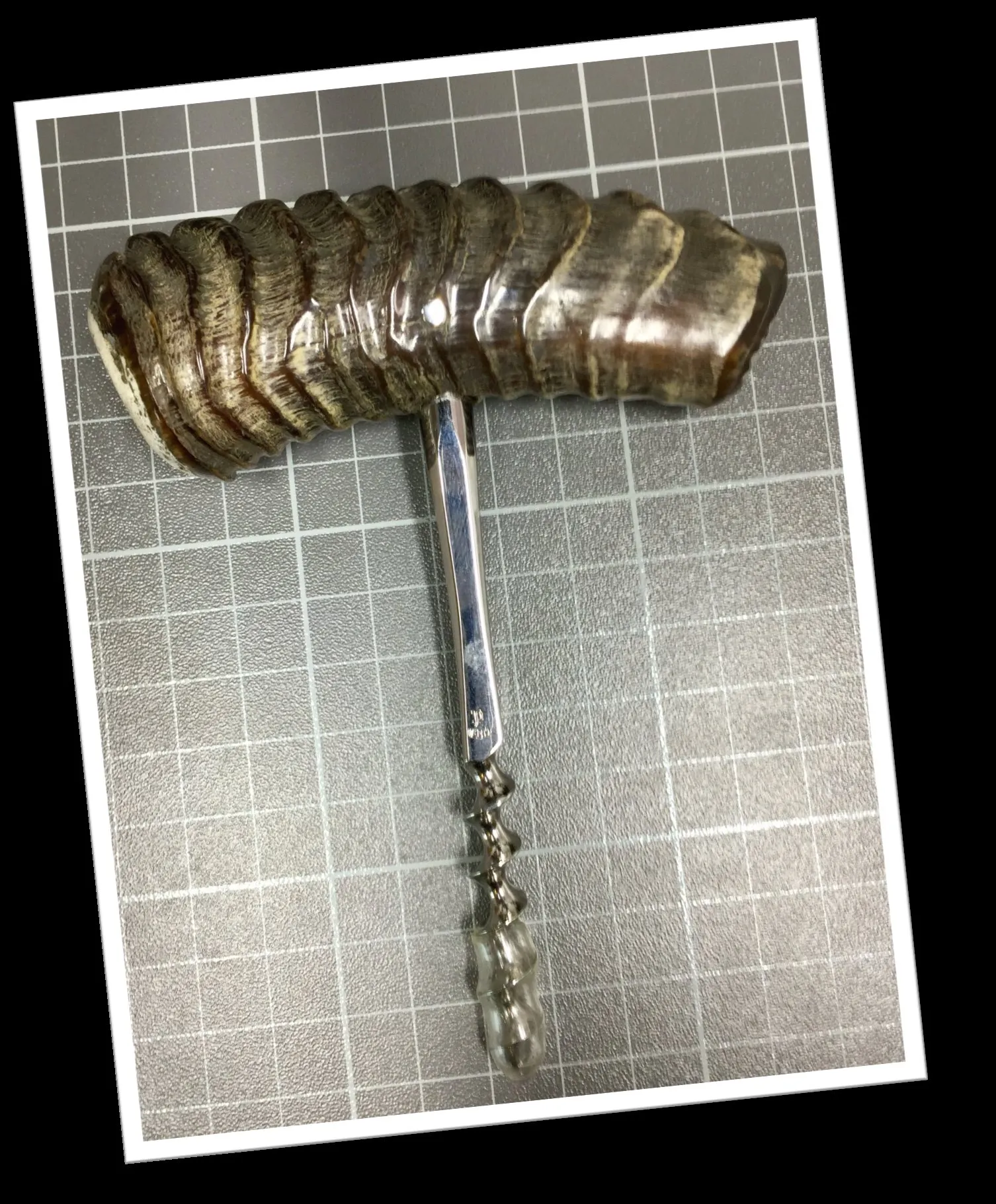 ELOI 1980 TIRE-BOUCHON CORNE DE MOUFLE